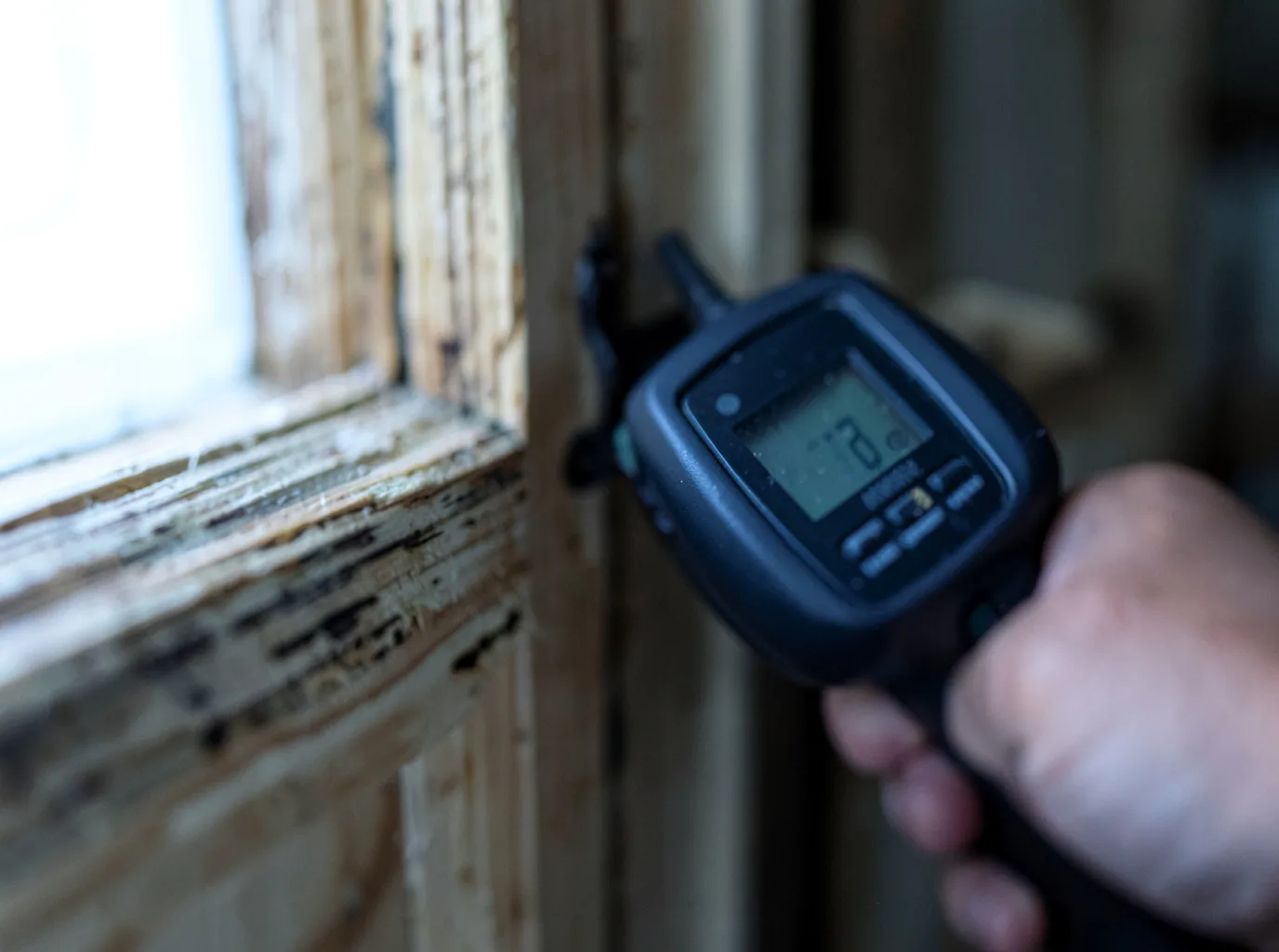 Moisture Inspection And Documentation in Hanlontown, IA